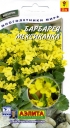 Барбарея Мексиканка