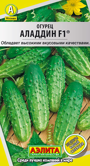 ������ ������� F1�