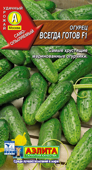 ������ ������ ����� F1