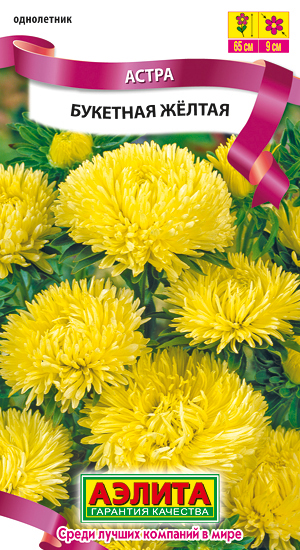 astra-buketnaya-yellow.jpg