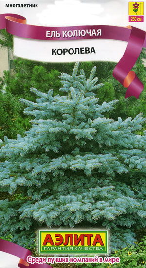 ��� ������� ��������