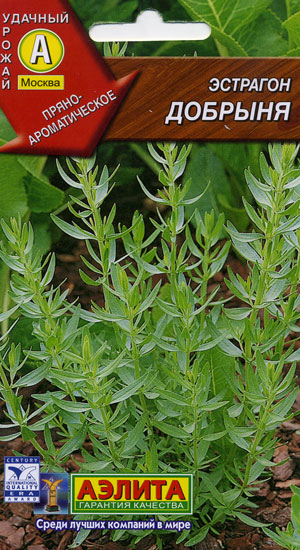 �������� �������