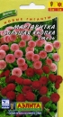 Маргаритка Большая кнопка смесь