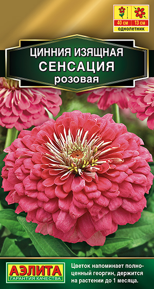Цинния Сенсация розовая Цинния Сенсация розовая