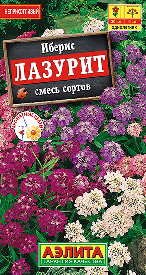 Иберис Лазурит, смесь сортов Иберис Лазурит, смесь сортов