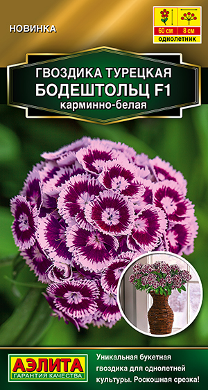 Гвоздика турецкая Бодештольц F1 карминно-белая Гвоздика турецкая Бодештольц F1 карминно-белая
