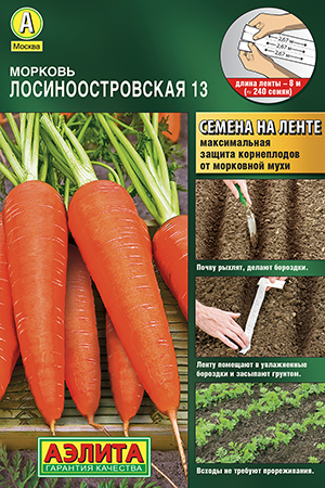 ������� ���������������� 13