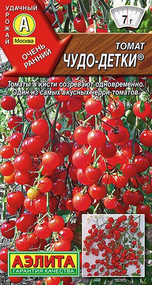 ����� ����-�����