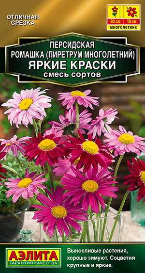 ���������� ������� ����� ������, ����� ������