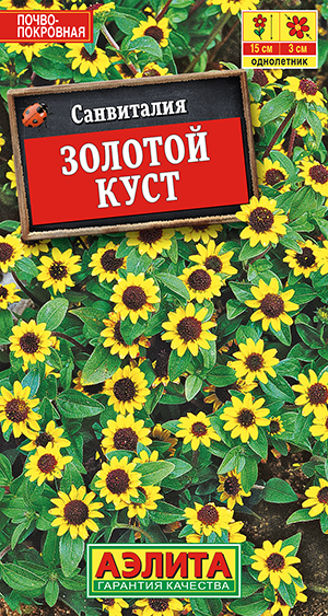 ���������� ������� ����