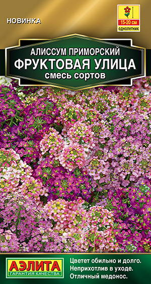 Алиссум Фруктовая улица, смесь сортов Алиссум Фруктовая улица, смесь сортов
