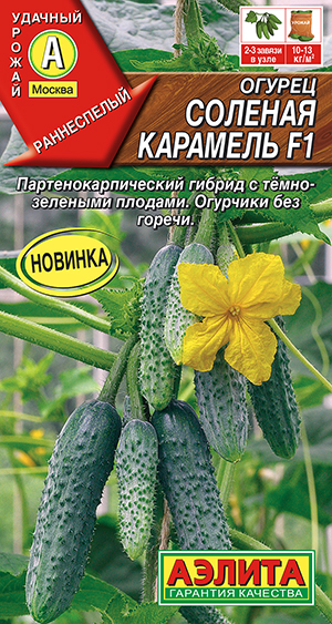 ������ ������� �������� F1