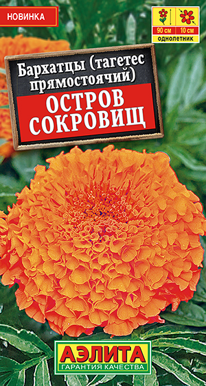 �������� ������ �������� ������������