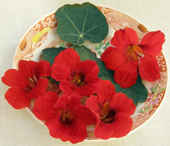 ��������� ���������� ����������� ����� ���������� (���������� ������)