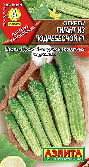 ������ ������ �� ����������� F1