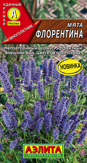 ���� ����������