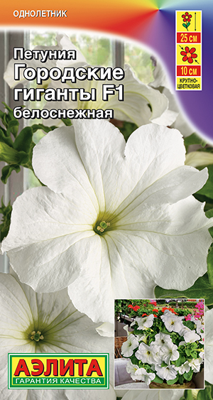 Петуния Городские гиганты F1 белоснежная Петуния Городские гиганты F1 белоснежная