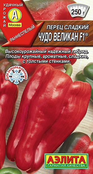 ����� ������� ���� ������� F1 �