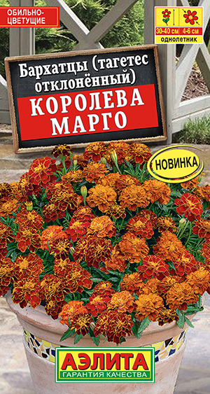 �������� �������� ����� �����������