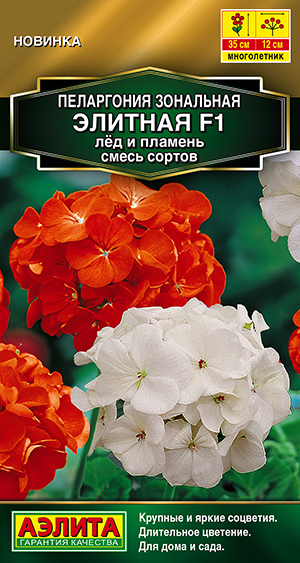 Пеларгония Элитная F1 лёд и пламень, смесь сортов Пеларгония Элитная F1 лёд и пламень, смесь сортов