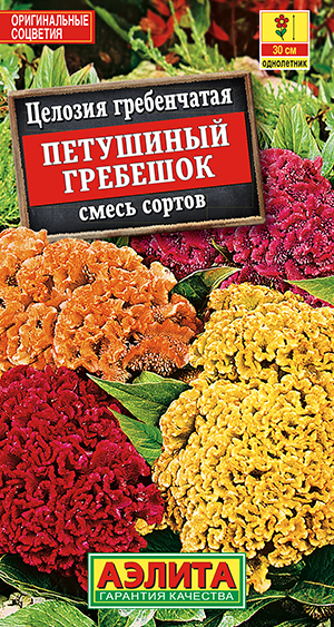 Целозия гребенчатая Петушиный гребешок, смесь сортов Целозия гребенчатая Петушиный гребешок, смесь сортов