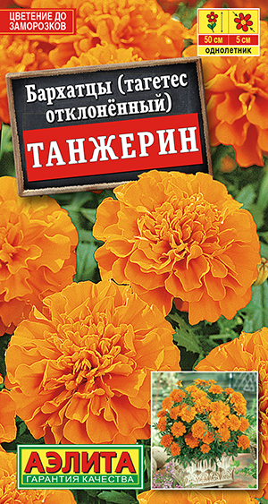 �������� �������� ���������������