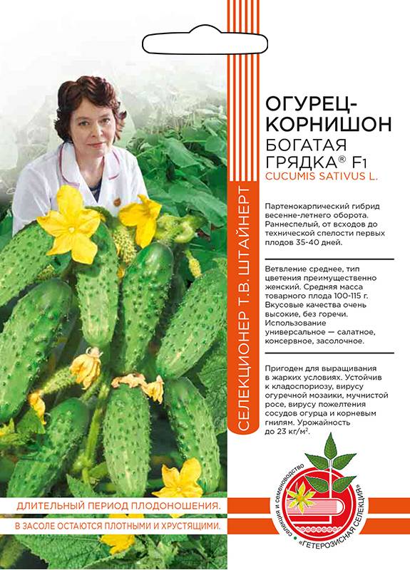 Огурец Богатая грядка F1 Огурец Богатая грядка F1
