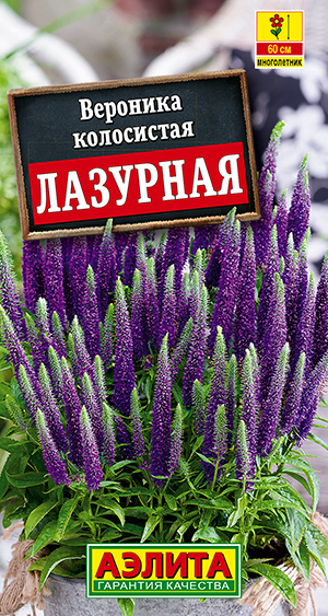 �������� ��������