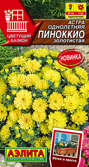 ����� �������� ����������