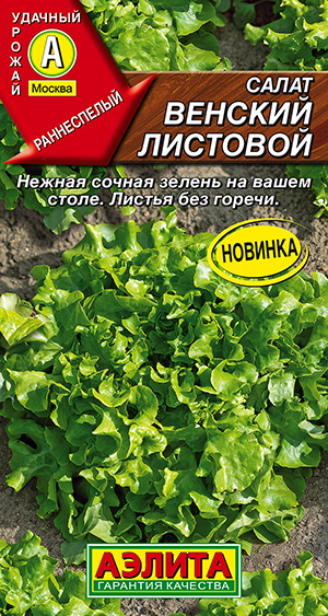 Салат Венский листовой Салат Венский листовой