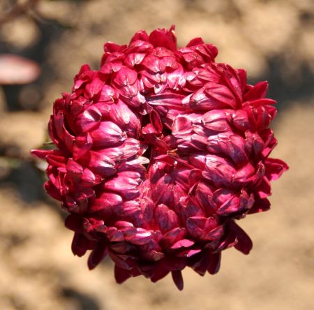 ����� ��������� ����� ���������