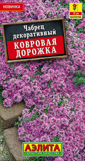 Чабрец декоративный Ковровая дорожка Чабрец декоративный Ковровая дорожка