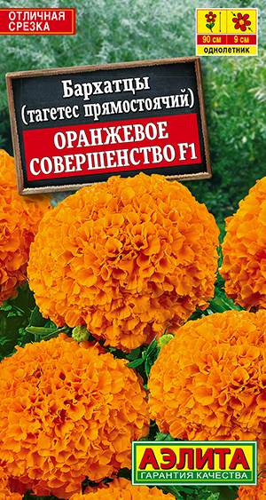 �������� ��������� ������������ F1 ������������