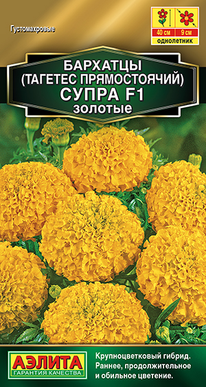 �������� ����� ������� F1 ������������