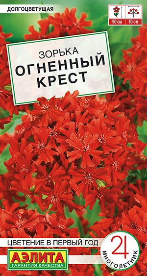 Зорька Огненный крест Зорька Огненный крест