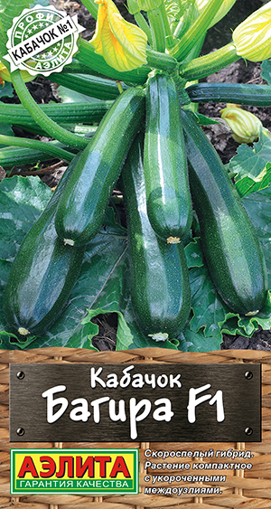 Кабачок цуккини Багира F1 Кабачок цуккини Багира F1