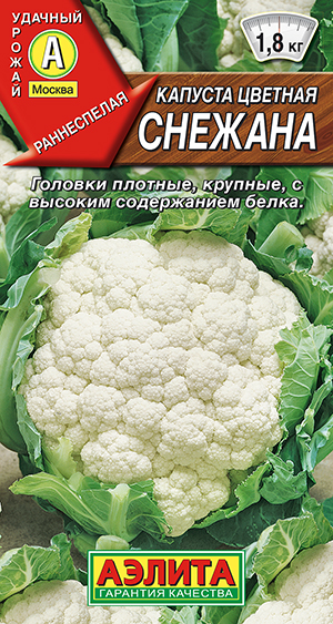 Капуста цветная Снежана Капуста цветная Снежана