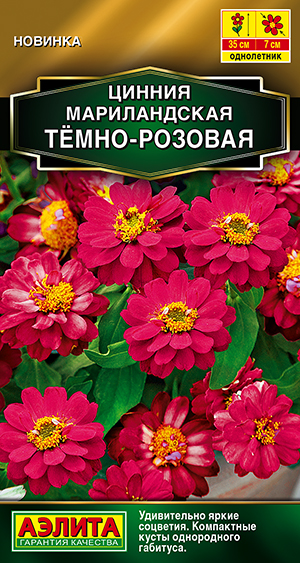 ������ ������������ Ҹ���-�������