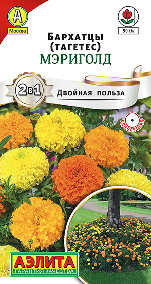 �������� ��������