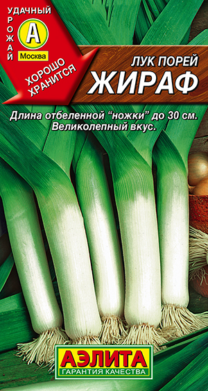 ��� ����� �����