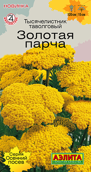 Тысячелистник Золотая парча Тысячелистник Золотая парча