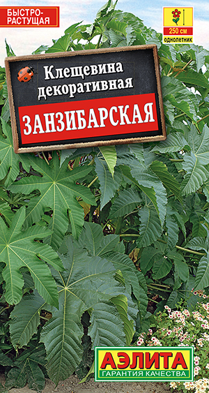 Клещевина Занзибарская Клещевина Занзибарская