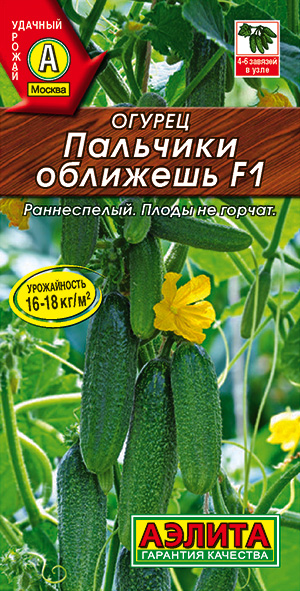 ������ �������� �������� F1