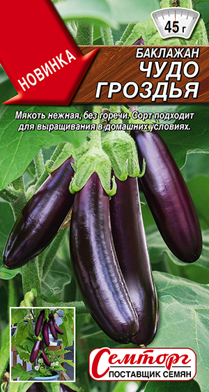Баклажан Чудо гроздья Баклажан Чудо гроздья
