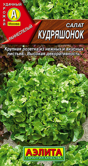 Салат Кудряшонок