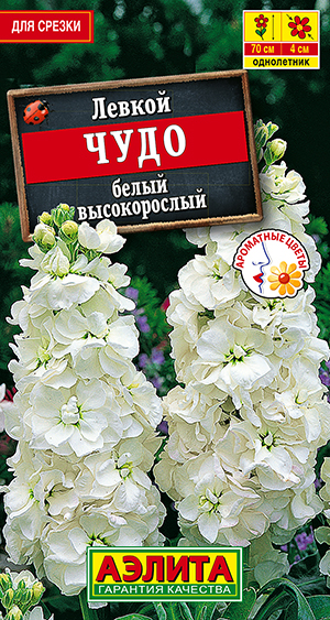 Левкой высокорослый Чудо белый Левкой высокорослый Чудо белый