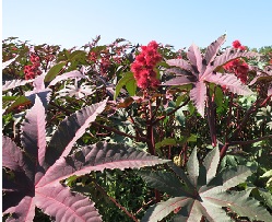 ��������� �������