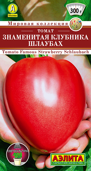 Томат Знаменитая клубника Шлаубах