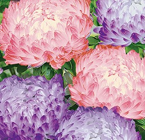 ����� ��������� �����������, ����������� ����� ������ (������-�������)