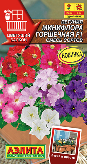 Петуния Минифлора горшечная F1, смесь сортов Петуния Минифлора горшечная F1, смесь сортов
